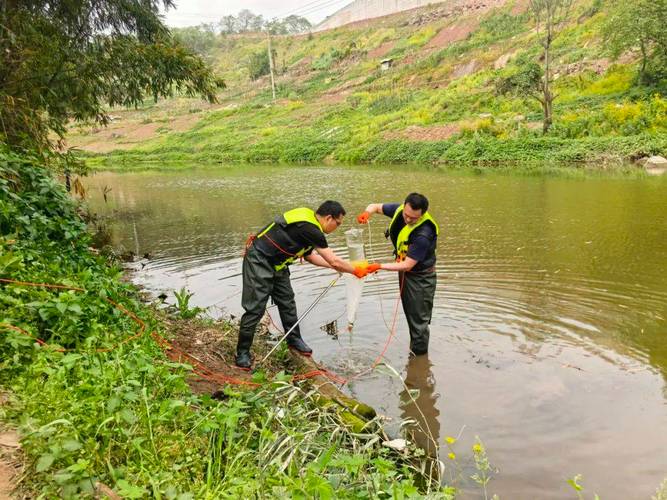 构建“生态+水质”双重监测体系，助力水生态环境保护